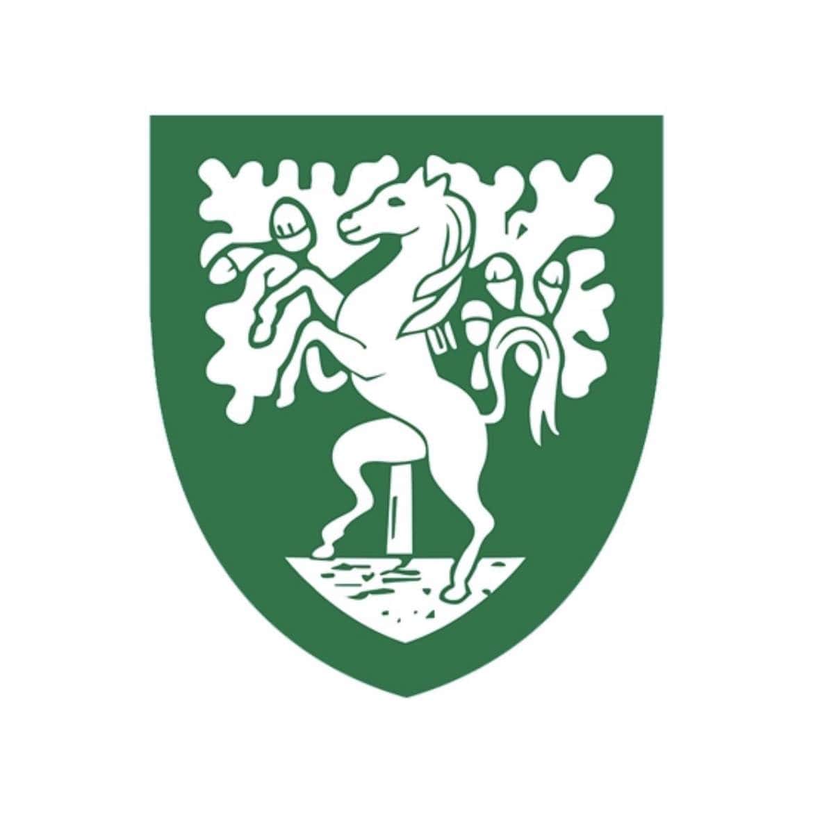 stover school logo
